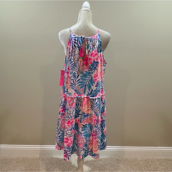 NWT• Lilly Pulitzer Evalyn Swing Dress - Picture 10 of 12